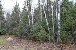 22 Eastshore DR Victoria Beach, MB R0E 2C0