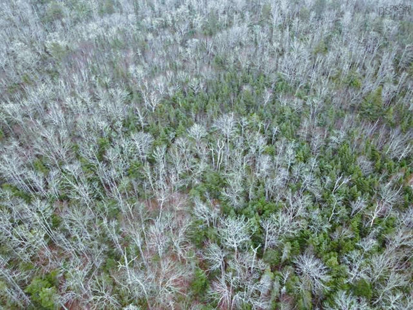 A95-2 Lakecrest Drive, Mount Uniacke, NS