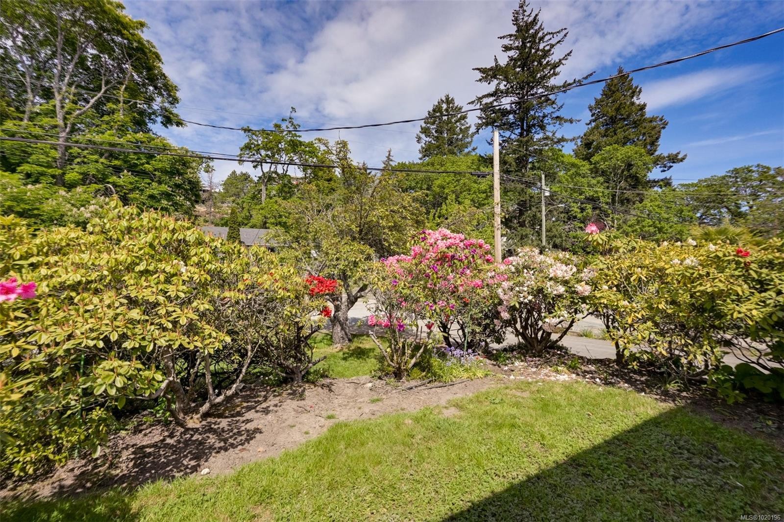 1233 Tattersall Dr, Saanich, BC