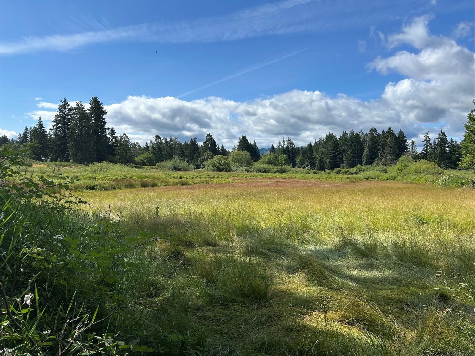 3358 Boyles Rd, Cobble Hill, BC