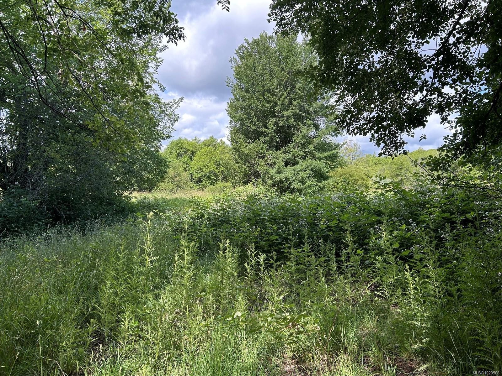 3358 Boyles Rd, Cobble Hill, BC