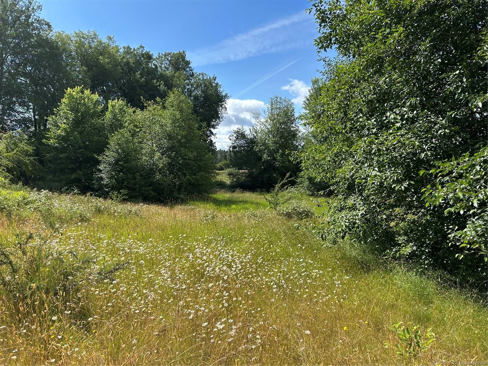 3358 Boyles Rd, Cobble Hill, BC