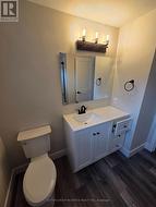 New toilet and vanity -