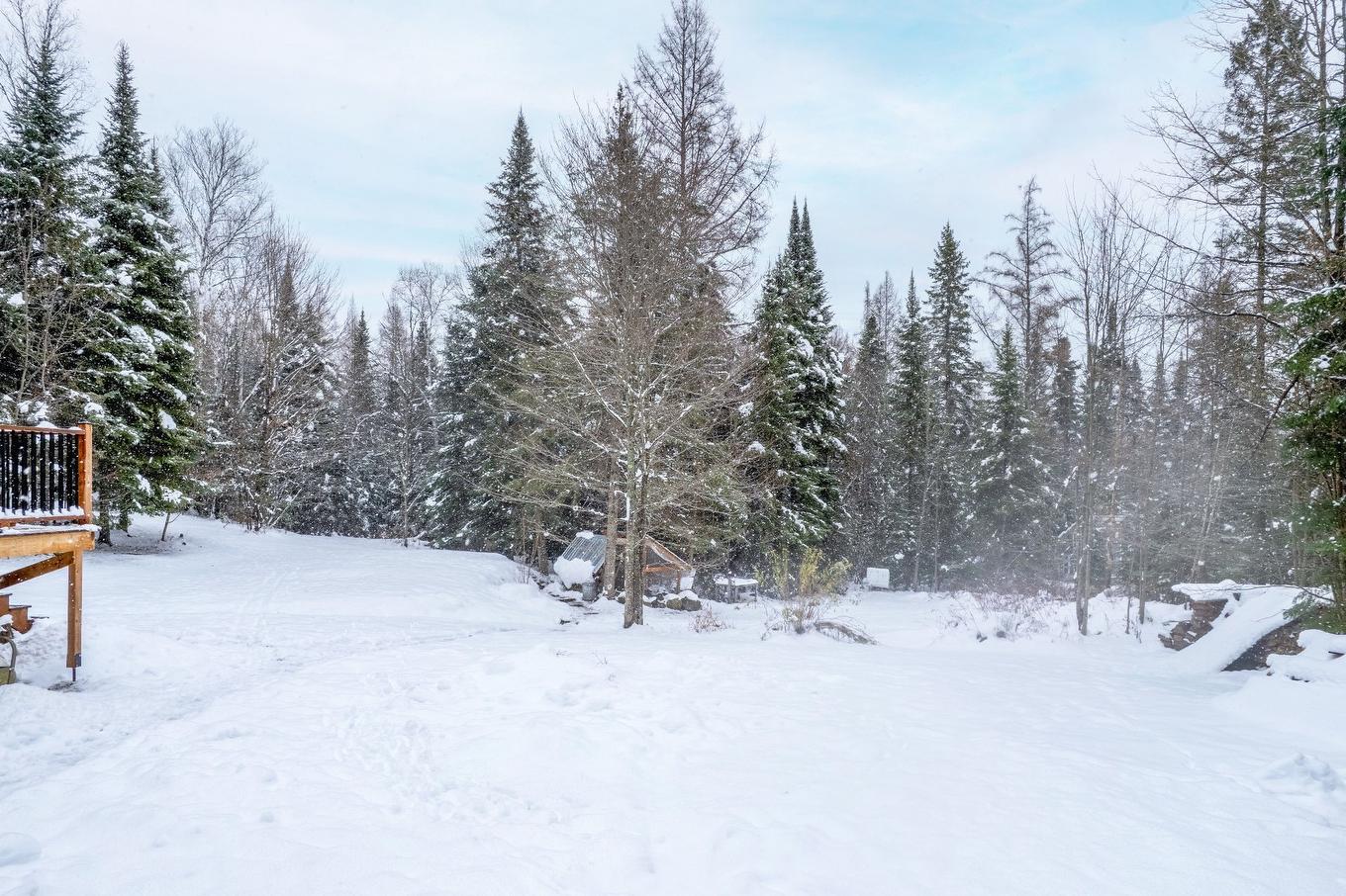 Backyard - 104 Ch. Brière, Mont-Blanc, QC - Outdoor
