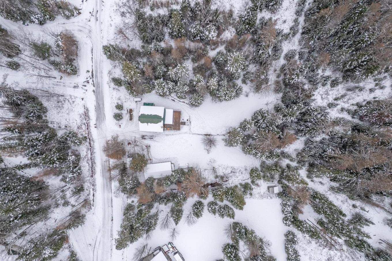 Overall view - 104 Ch. Brière, Mont-Blanc, QC - Outdoor With View