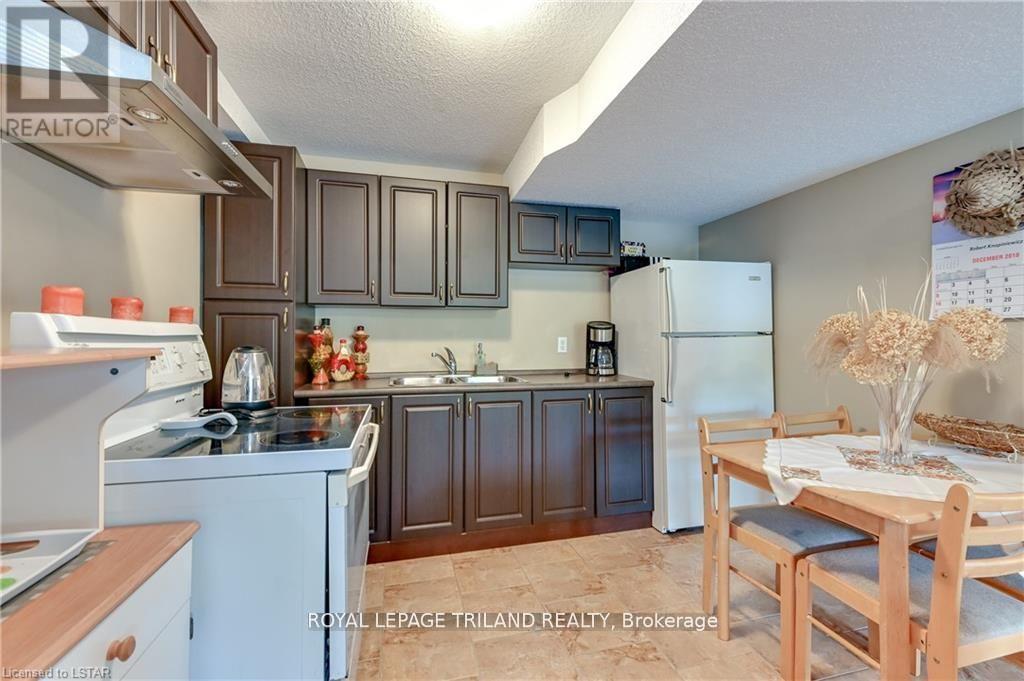 Lower Level - 3004 Devon Road, London South (South W), ON - Indoor Photo Showing Kitchen With Double Sink