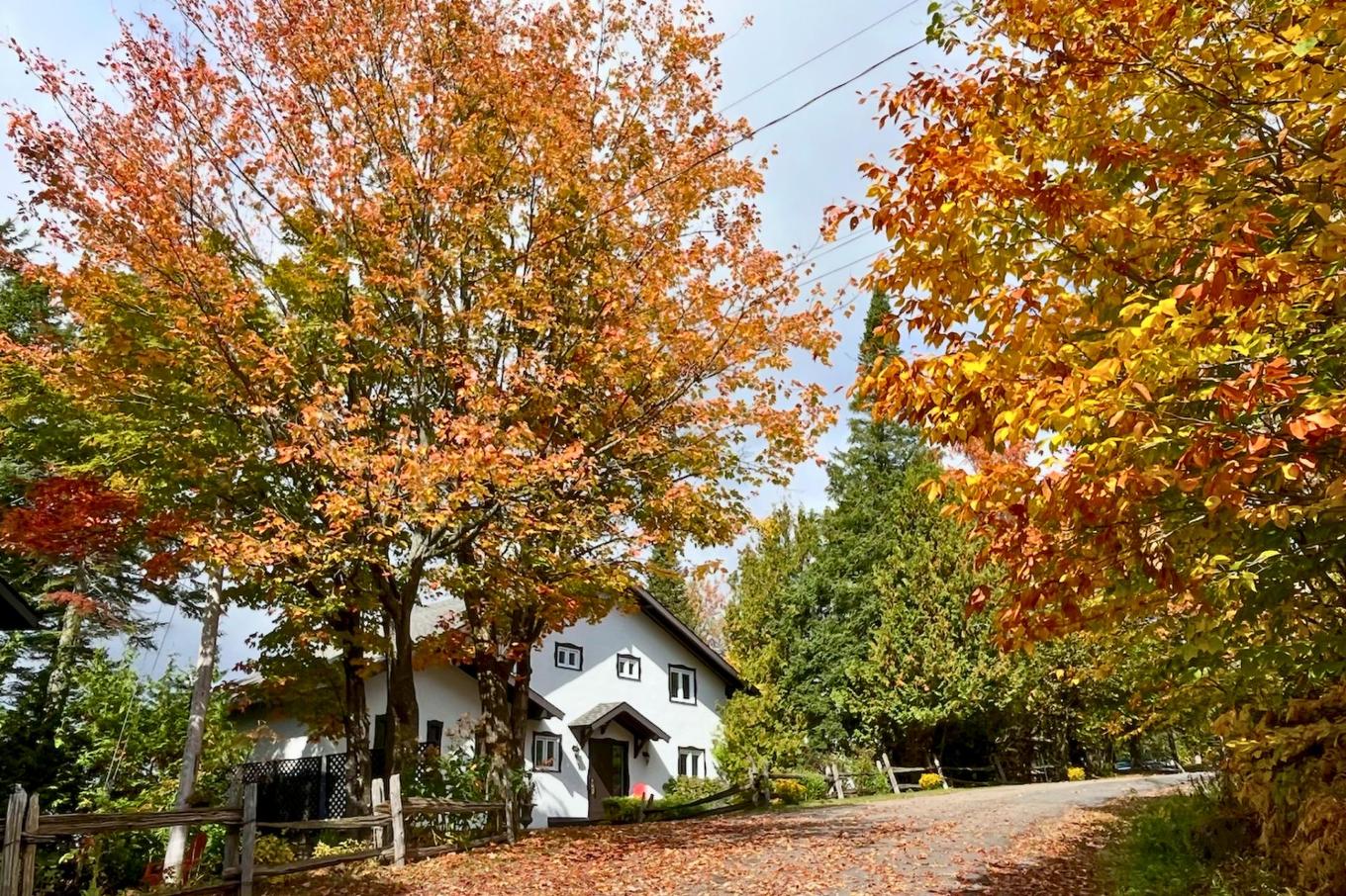 Façade - 1470 1Re Avenue, Val-Morin, QC - Outdoor