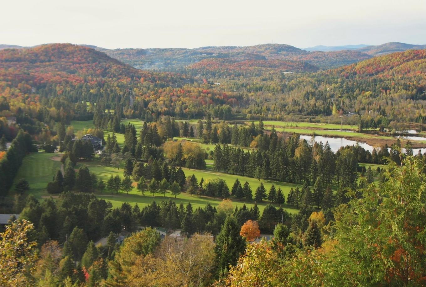 Vue - 1470 1Re Avenue, Val-Morin, QC - Outdoor With View