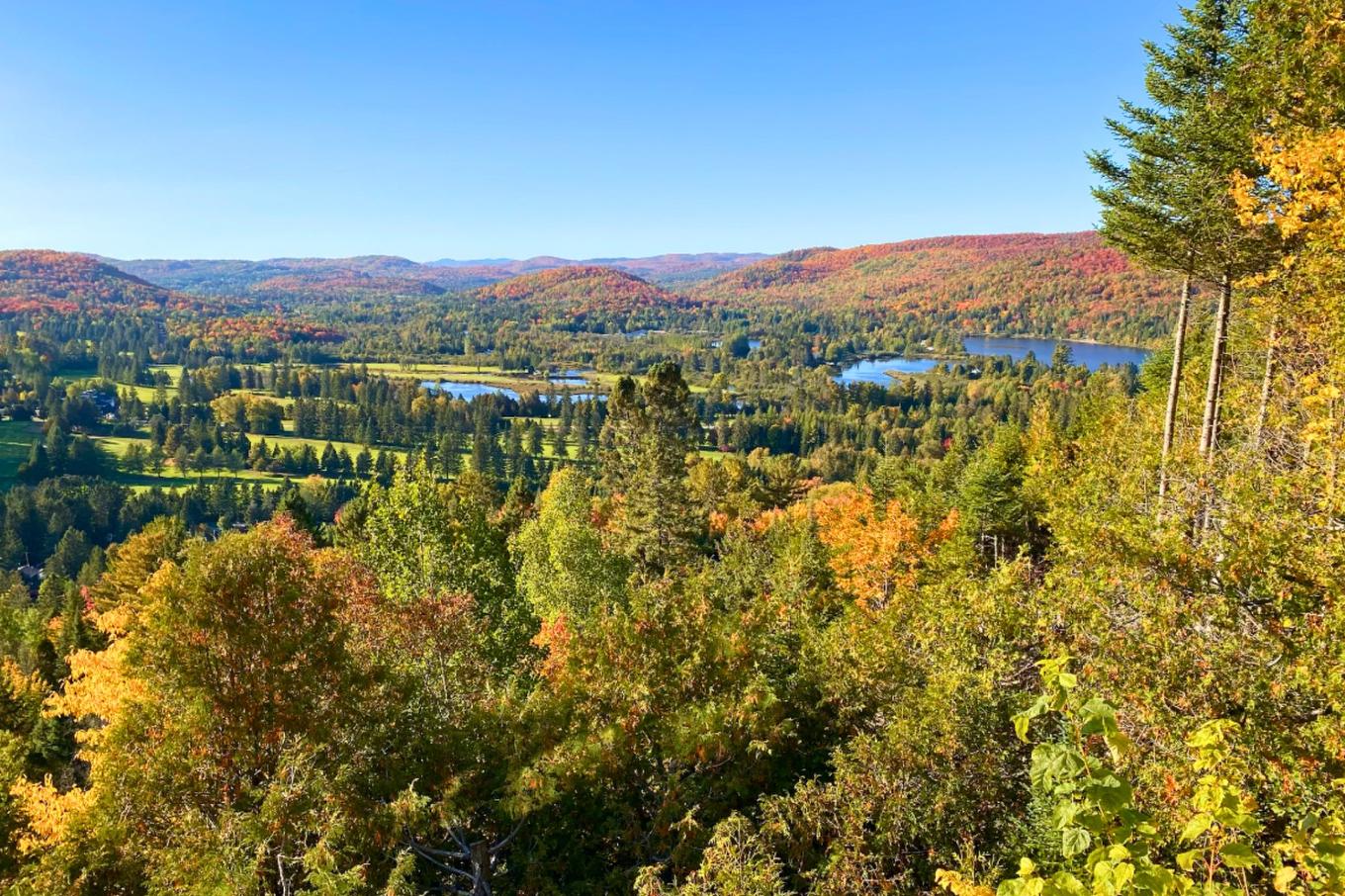 Vue - 1470 1Re Avenue, Val-Morin, QC - Outdoor With View