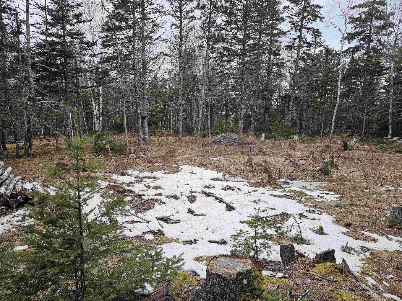 Lot Forest Glade Road, Forest Glade, NS
