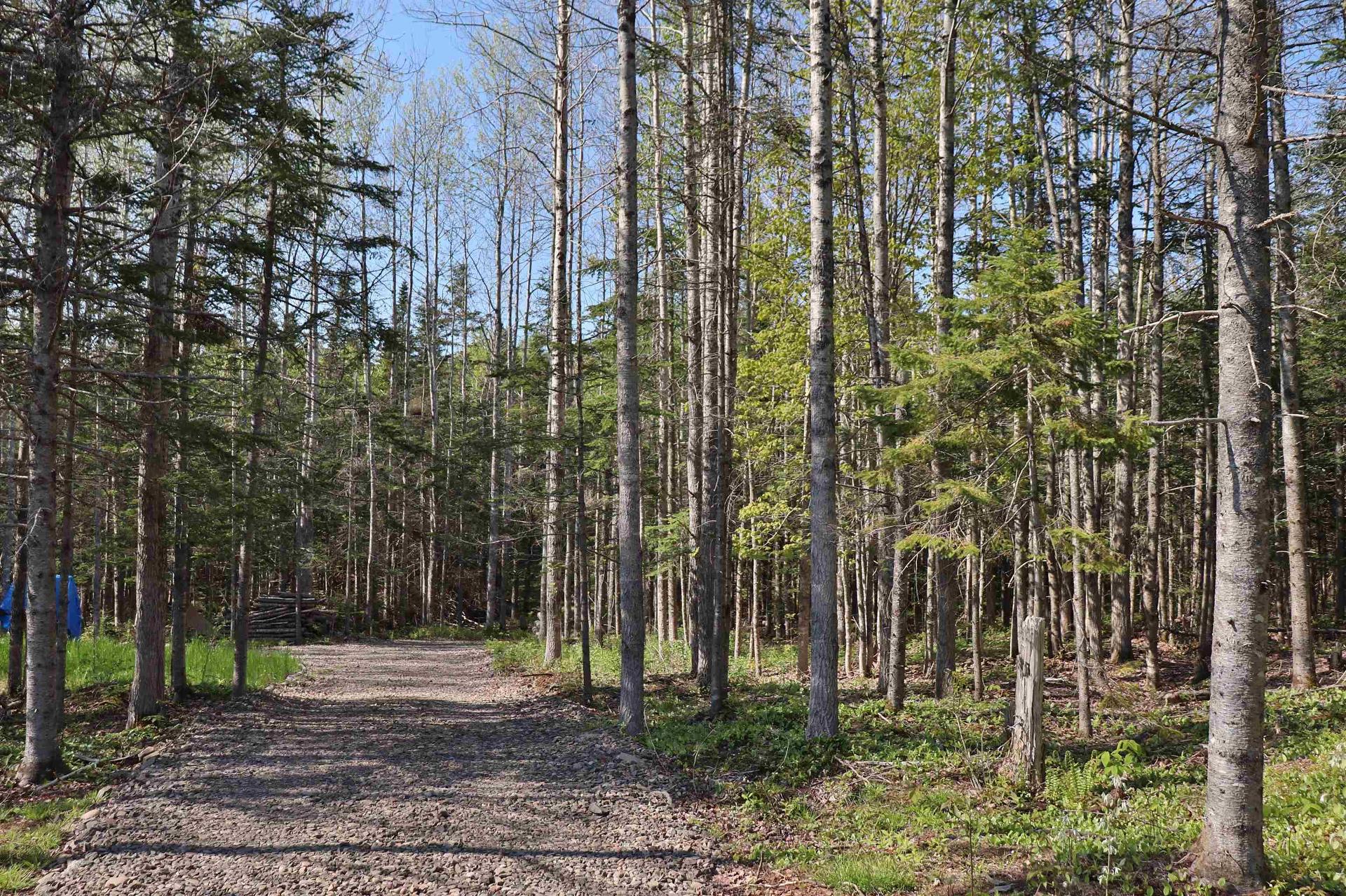 Lot Forest Glade Road, Forest Glade, NS
