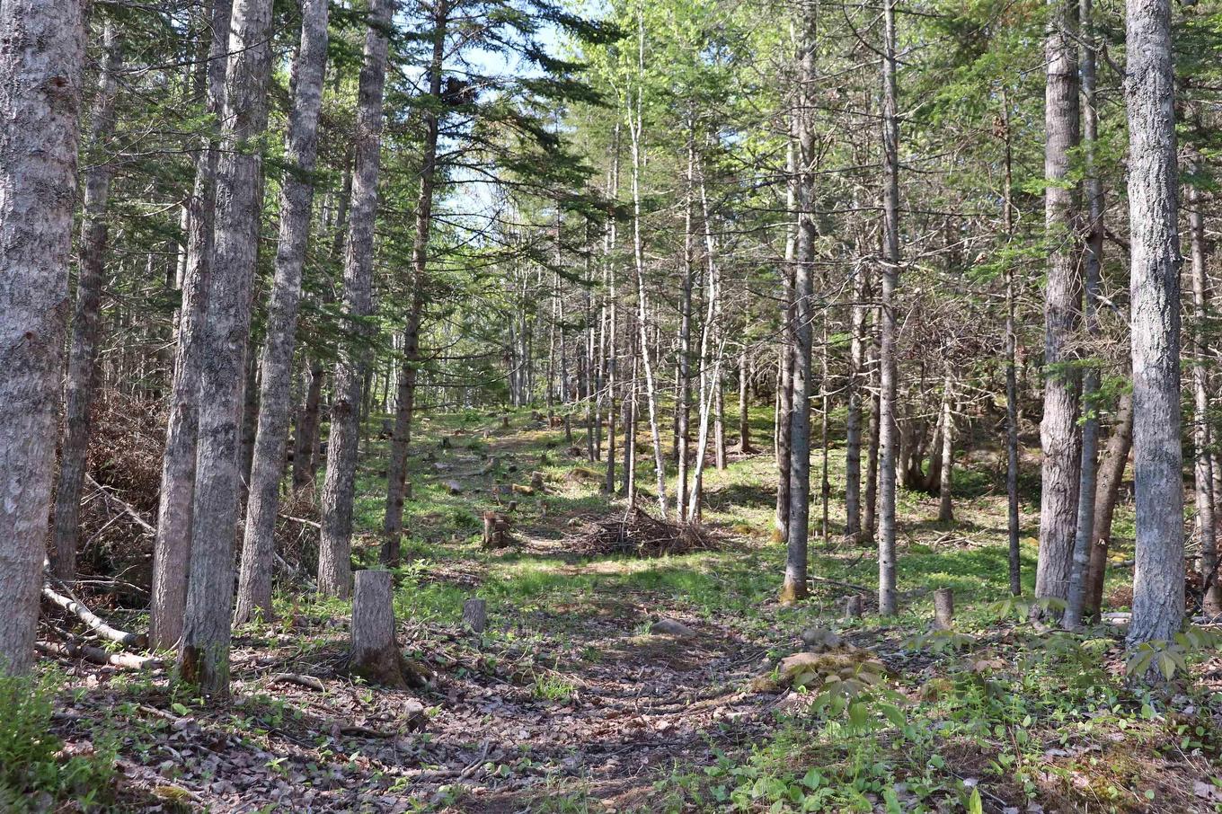 Lot Forest Glade Road, Forest Glade, NS