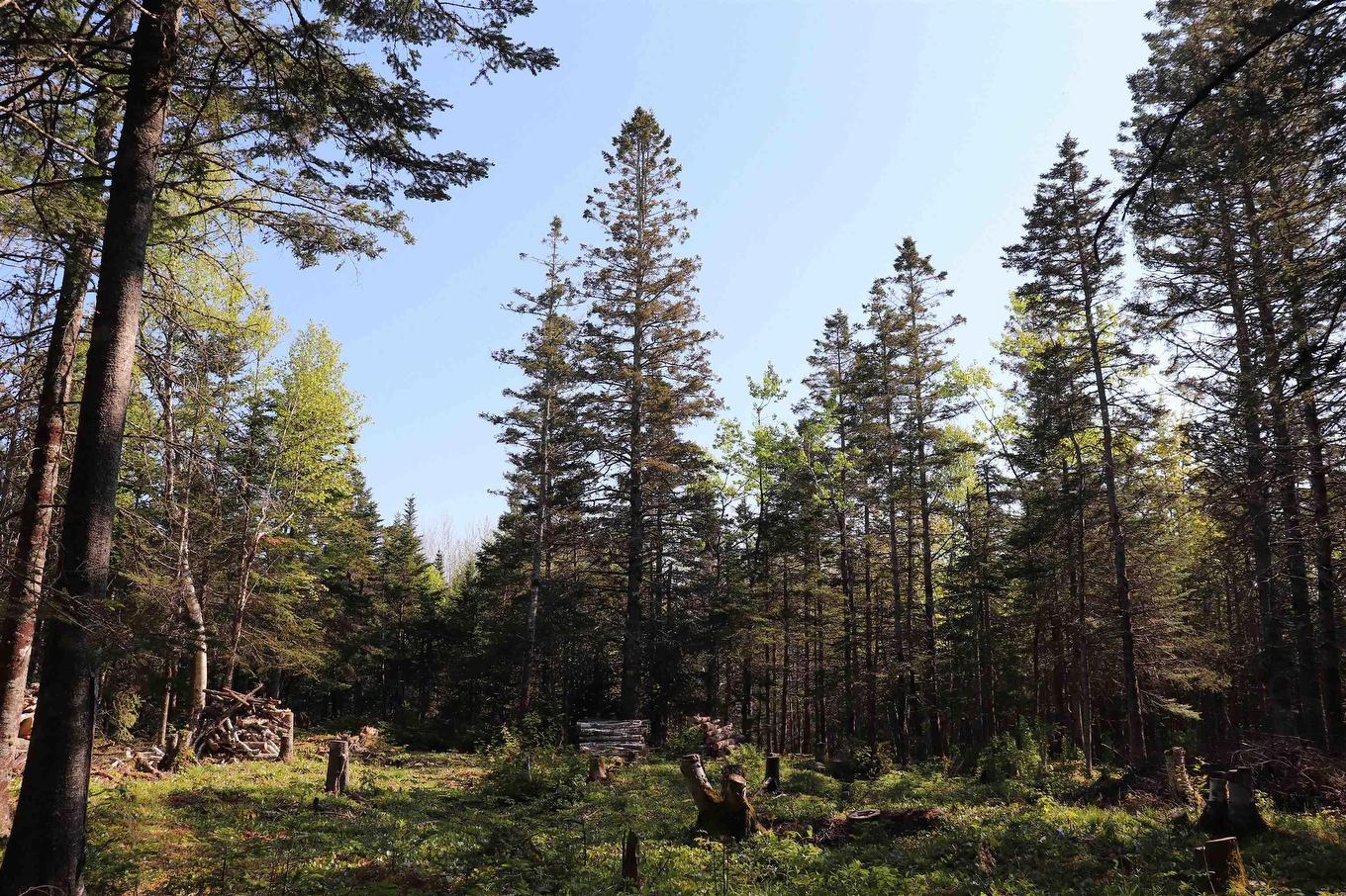 Lot Forest Glade Road, Forest Glade, NS