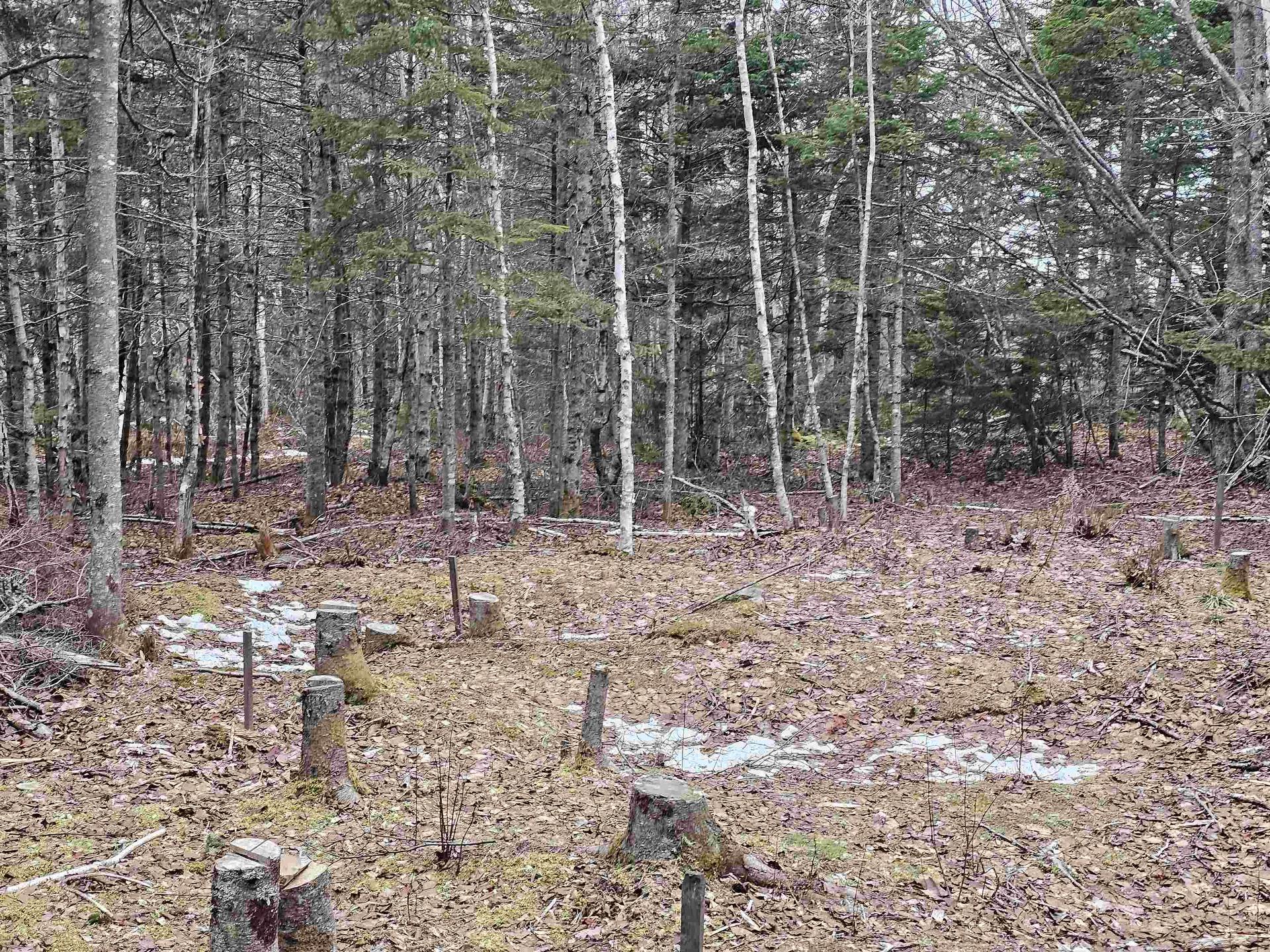 Lot Forest Glade Road, Forest Glade, NS