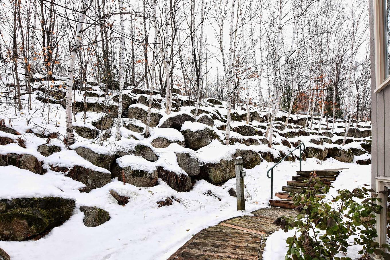 Exterior - 732 Ch. Des Éperviers, Piedmont, QC - Outdoor