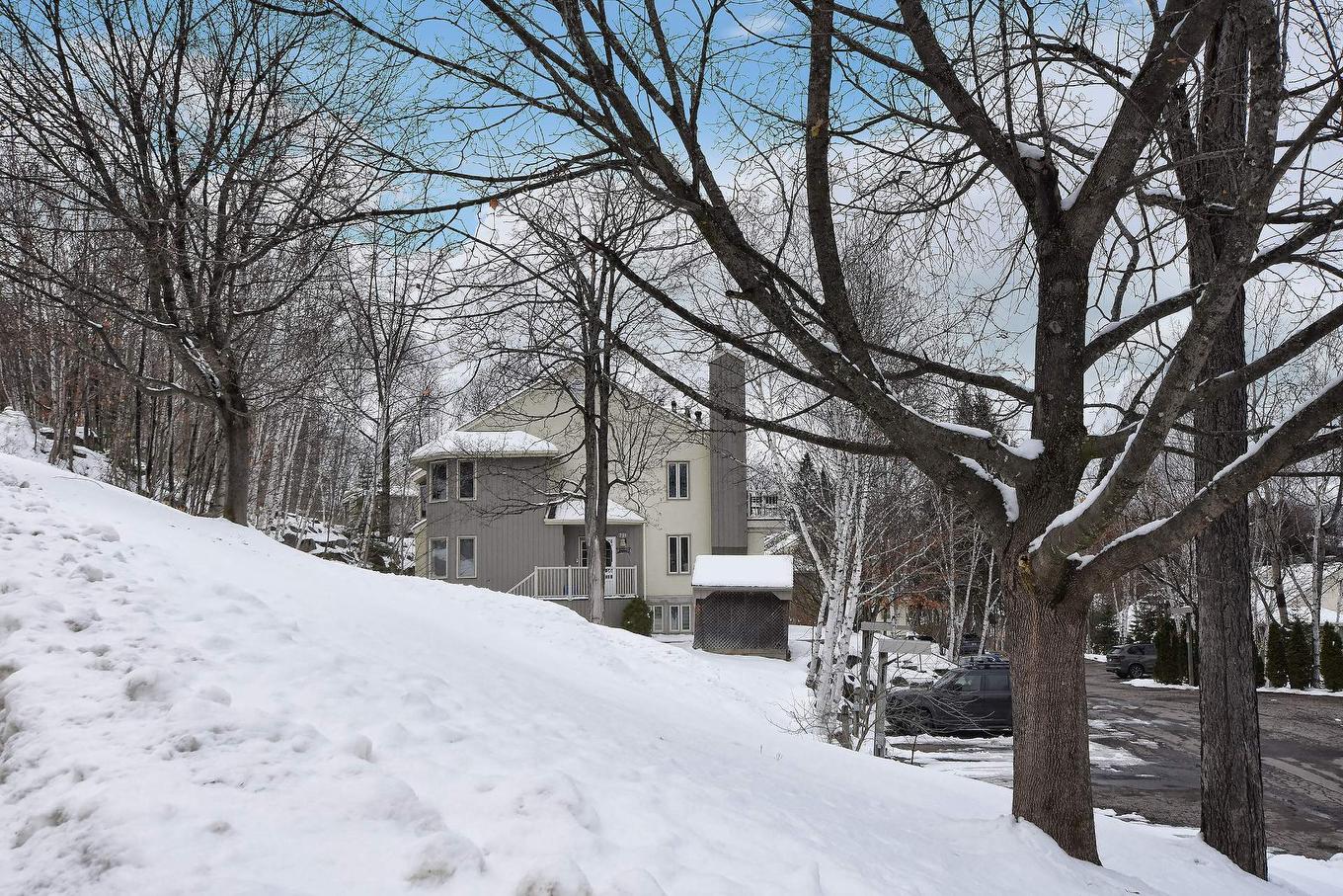 Exterior - 732 Ch. Des Éperviers, Piedmont, QC - Outdoor