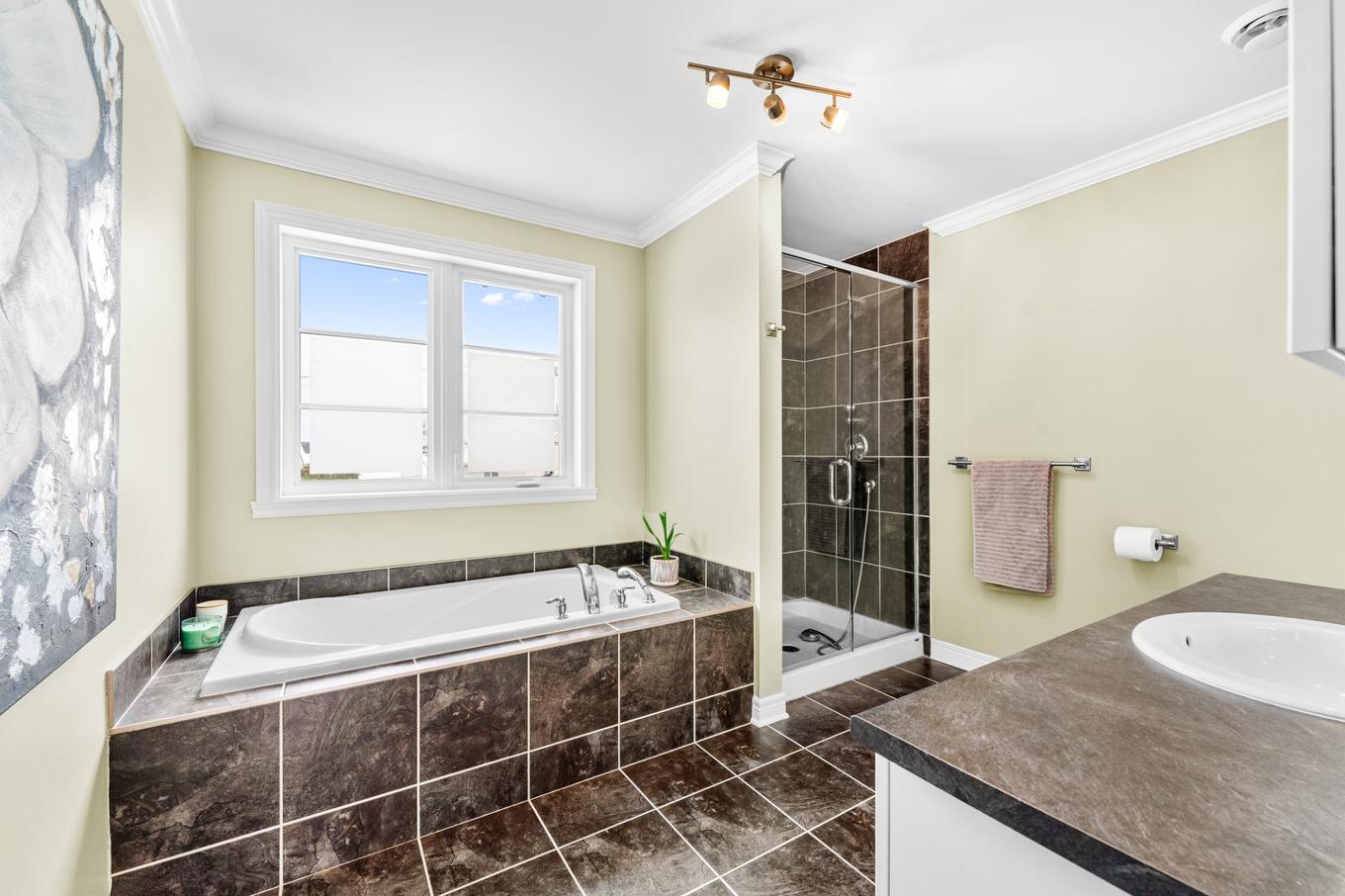 Bathroom - 5-385 Rue Dalpé, Mascouche, QC - Indoor Photo Showing Bathroom