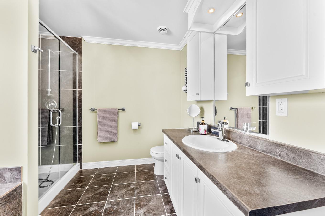 Bathroom - 5-385 Rue Dalpé, Mascouche, QC - Indoor Photo Showing Bathroom