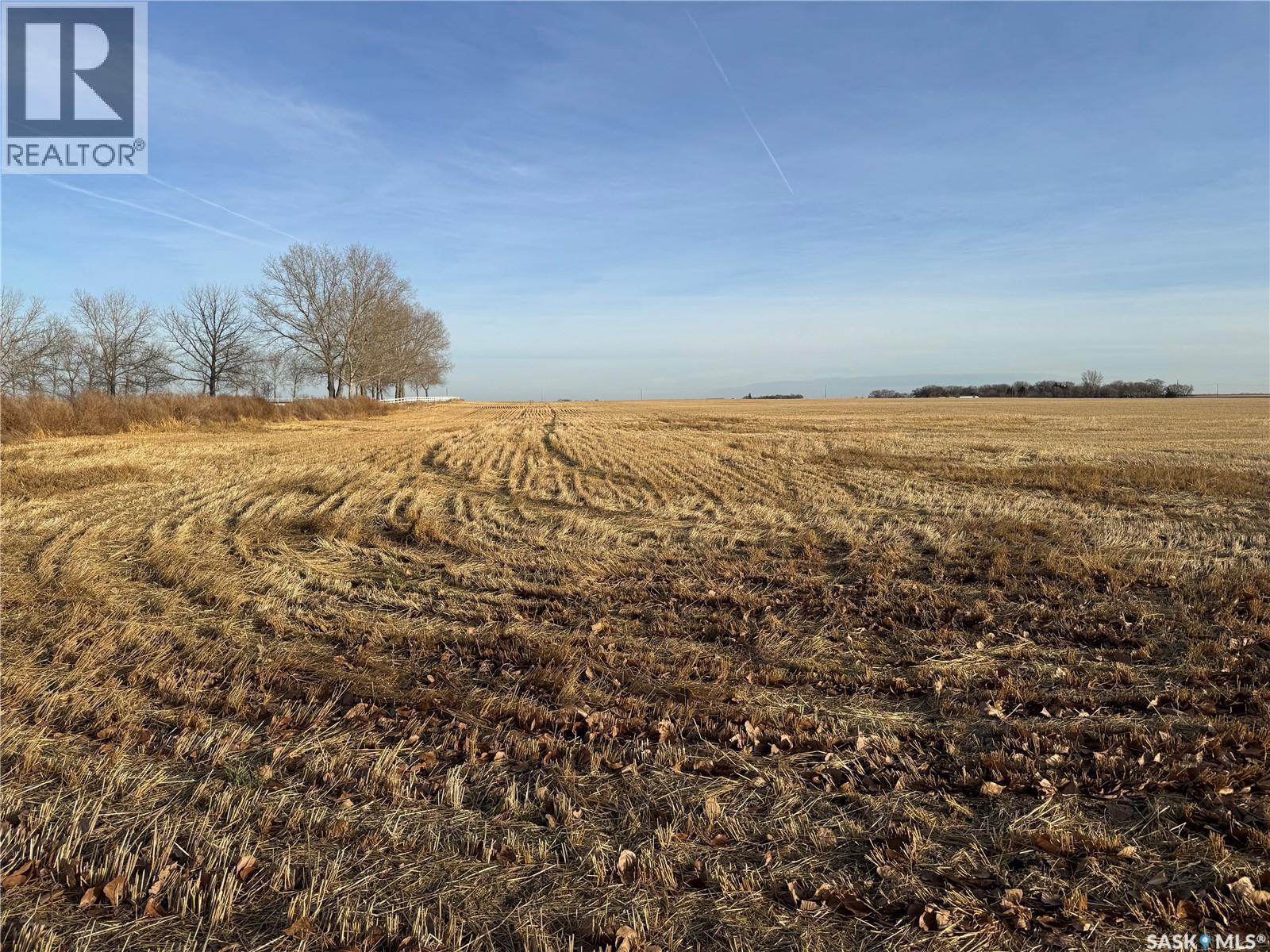 Asquith Land, Asquith, SK