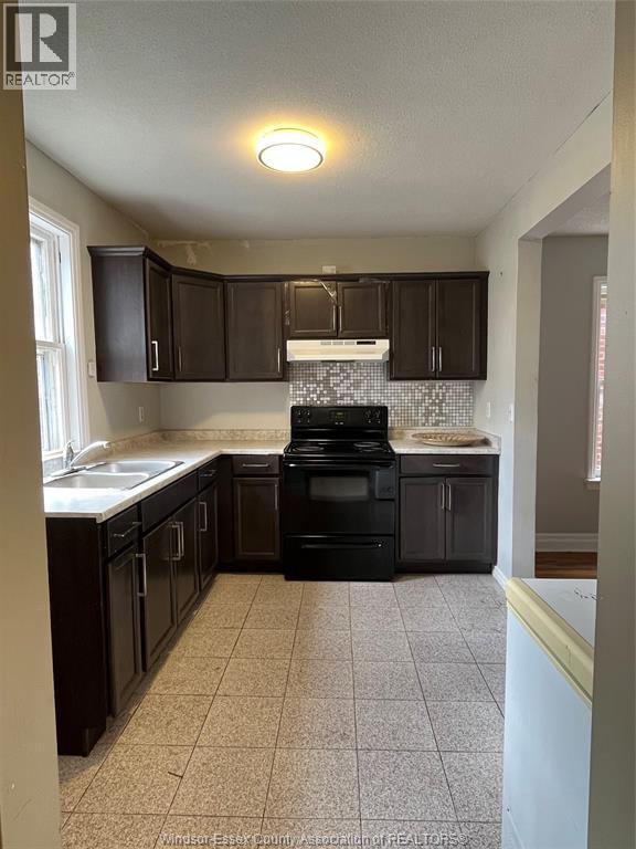 719 Erie Street East, Windsor, ON - Indoor Photo Showing Kitchen With Double Sink