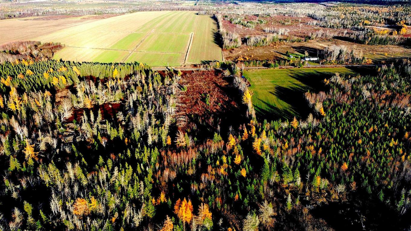 Albion Road, Albion Cross, PE