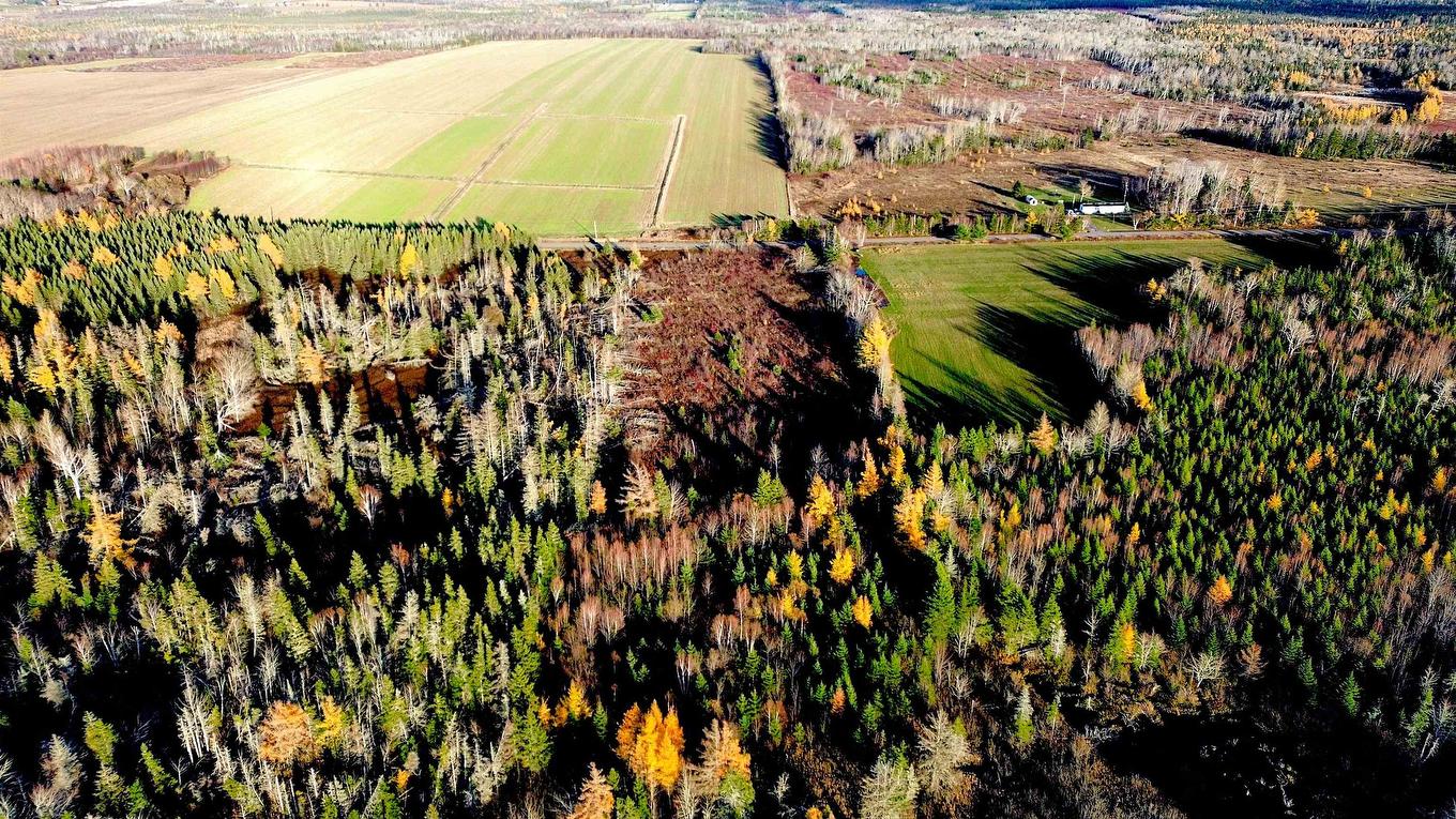 Albion Road, Albion Cross, PE