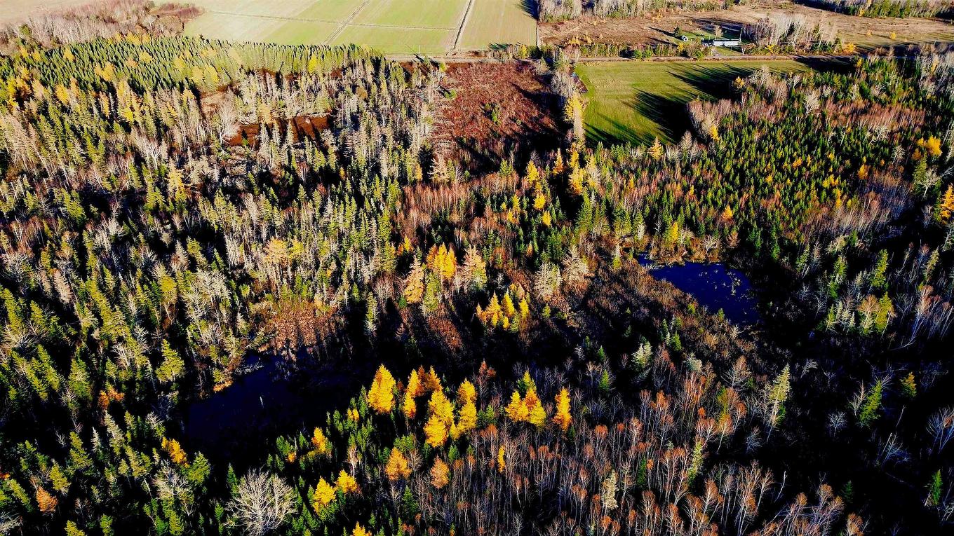 Albion Road, Albion Cross, PE