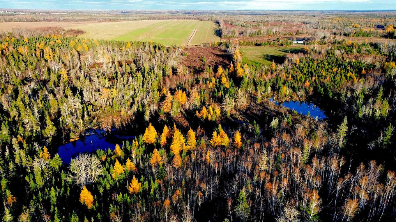 Albion Road, Albion Cross, PE