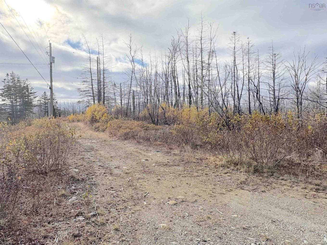 Lot Shore Road, Roseway, NS