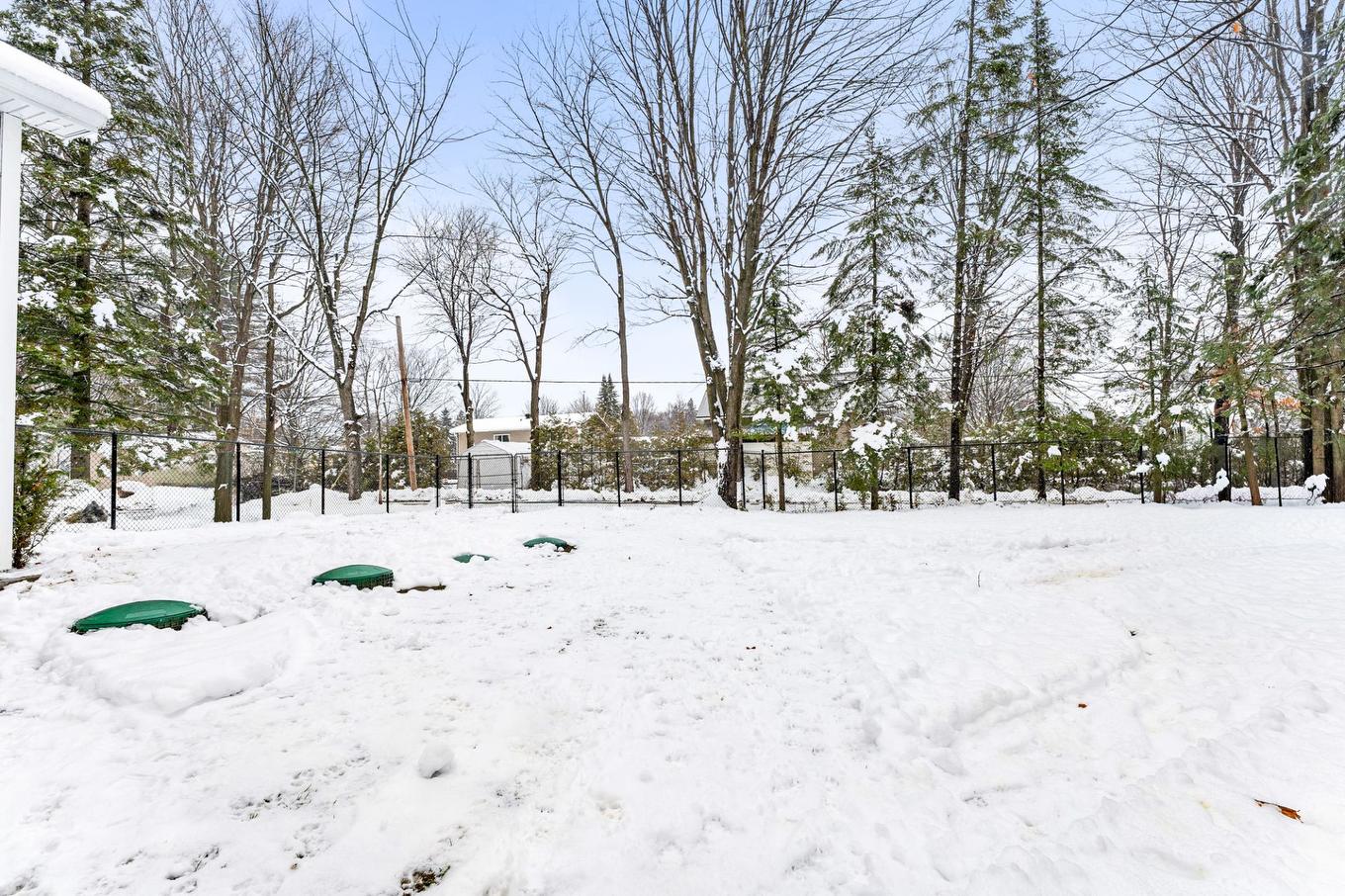 Cour - 1714 Rue Collin, Saint-Lin/Laurentides, QC - Outdoor With View