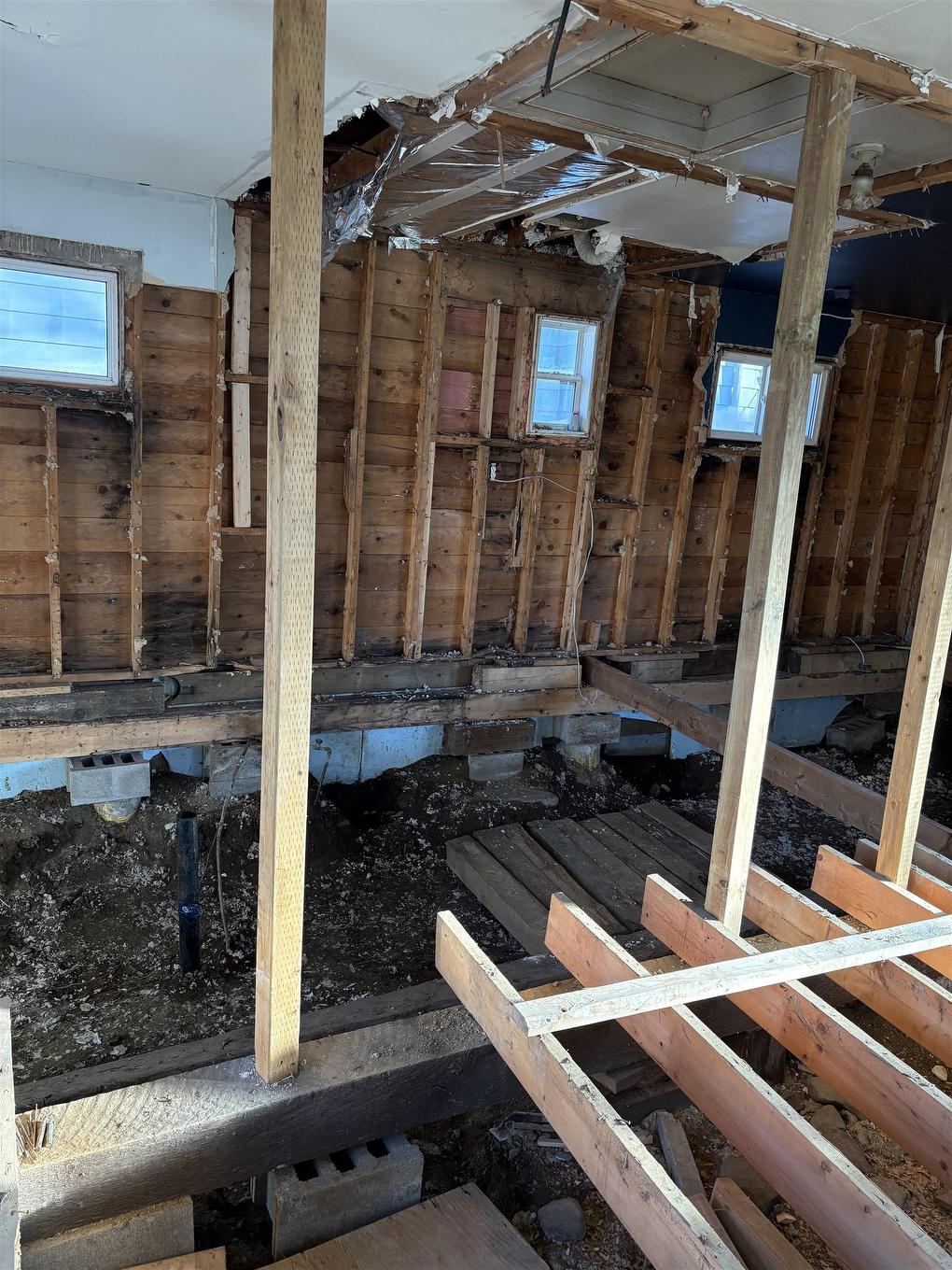 141 Pine Street, Thunder Bay, ON -