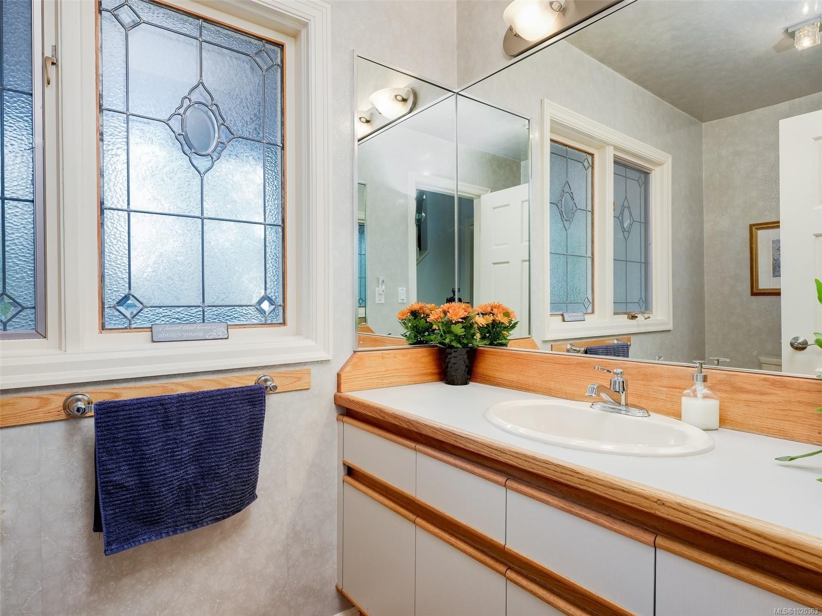 3914 Gibson Crt, Saanich, BC