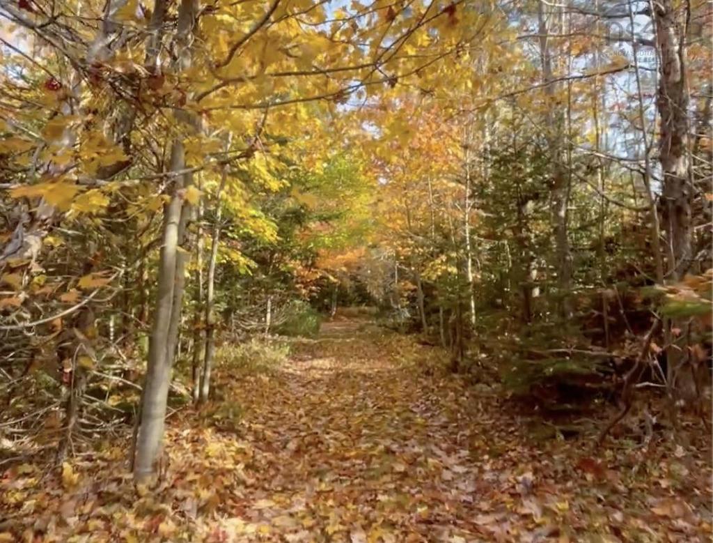 Kempt Head Road, Kempt Head, NS