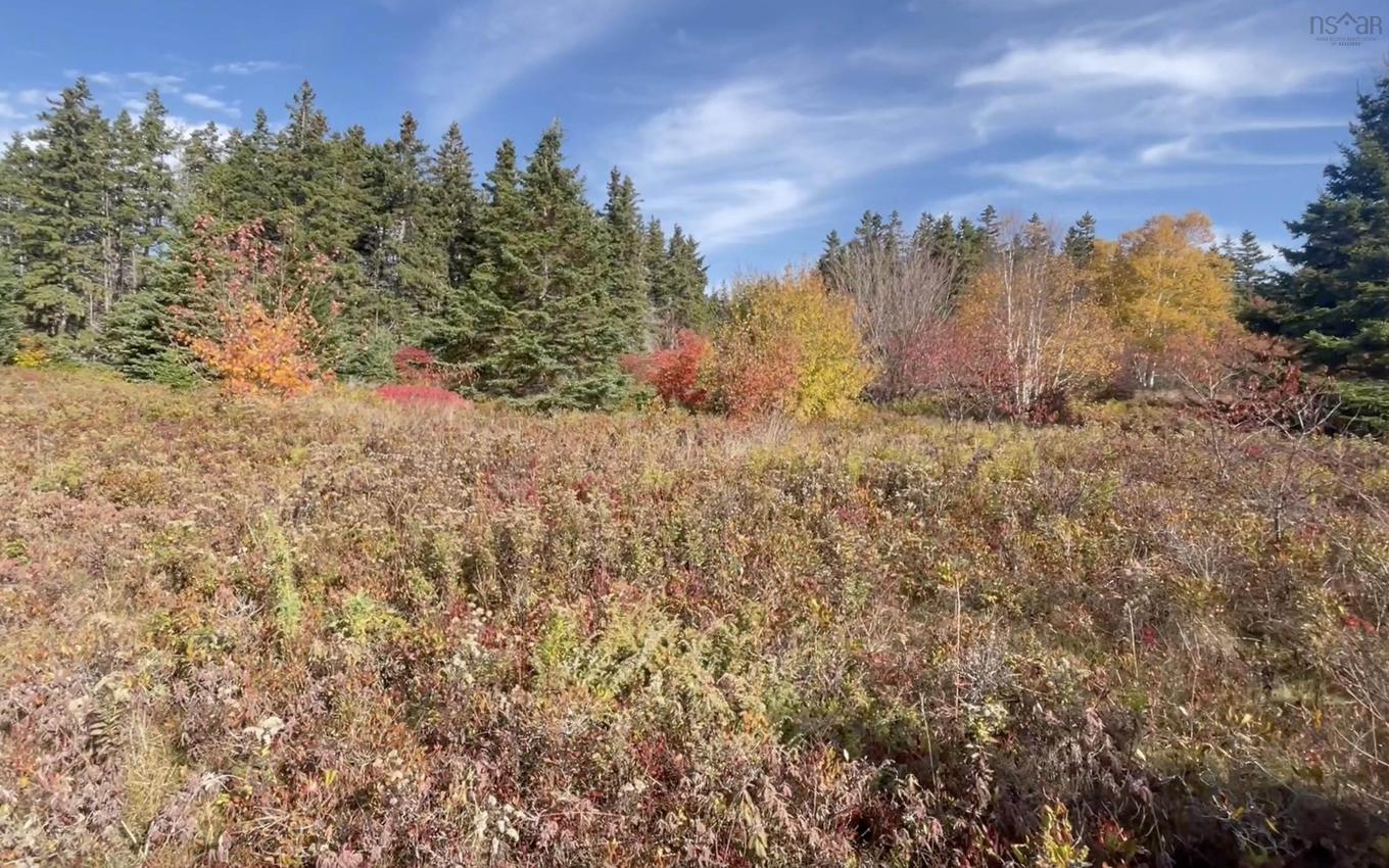 Kempt Head Road, Kempt Head, NS