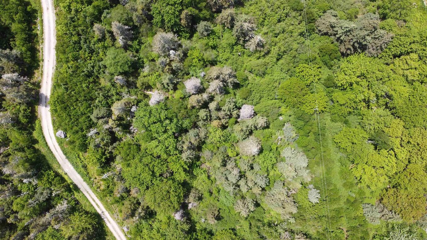 C4 & C5 Everetts Way, Hunts Point, NS