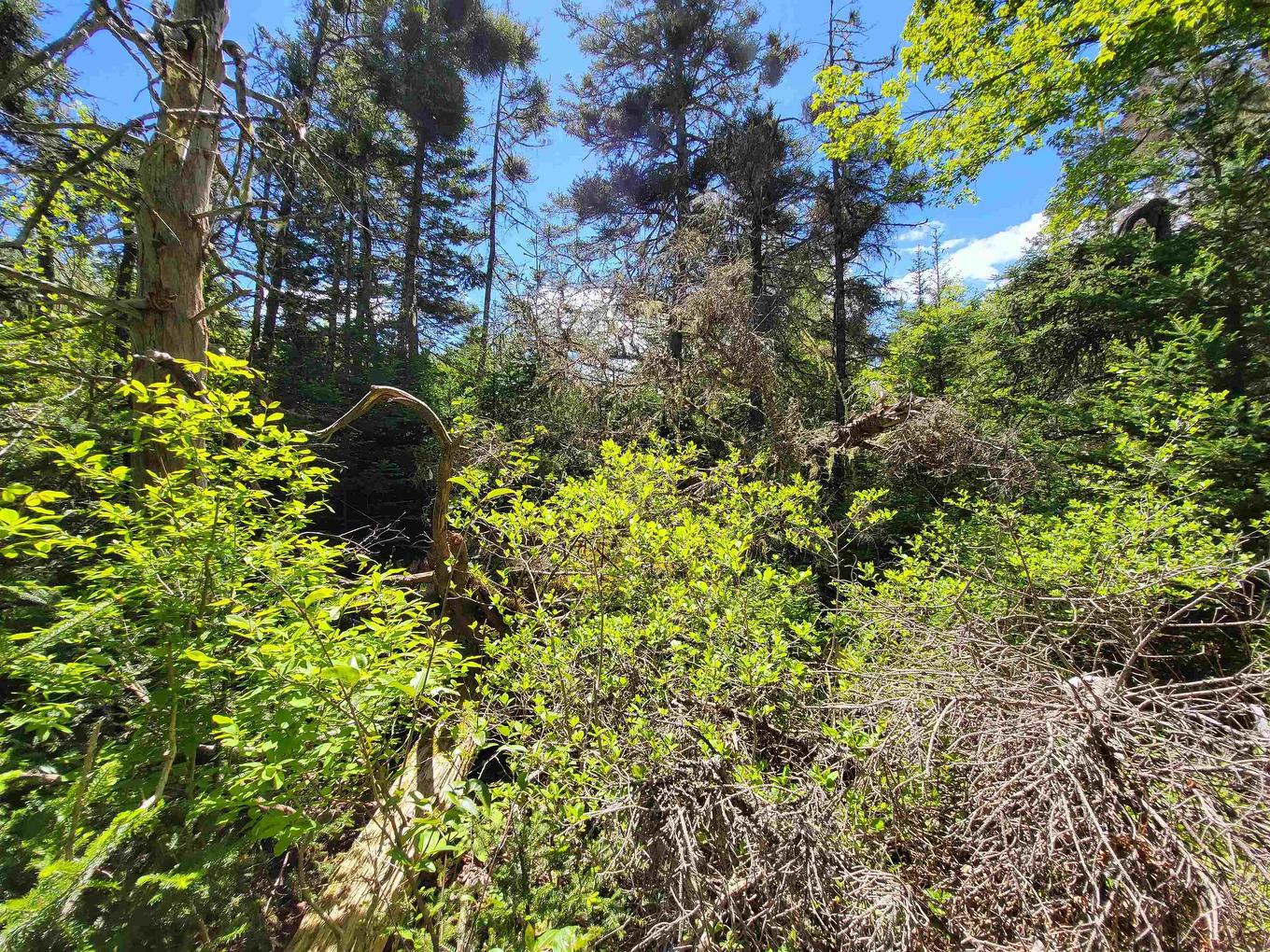 C4 & C5 Everetts Way, Hunts Point, NS