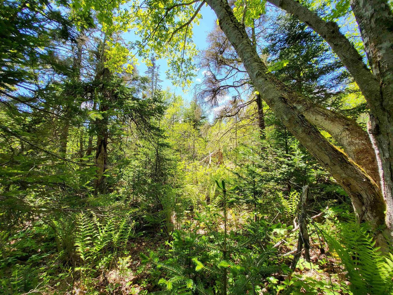 C4 & C5 Everetts Way, Hunts Point, NS