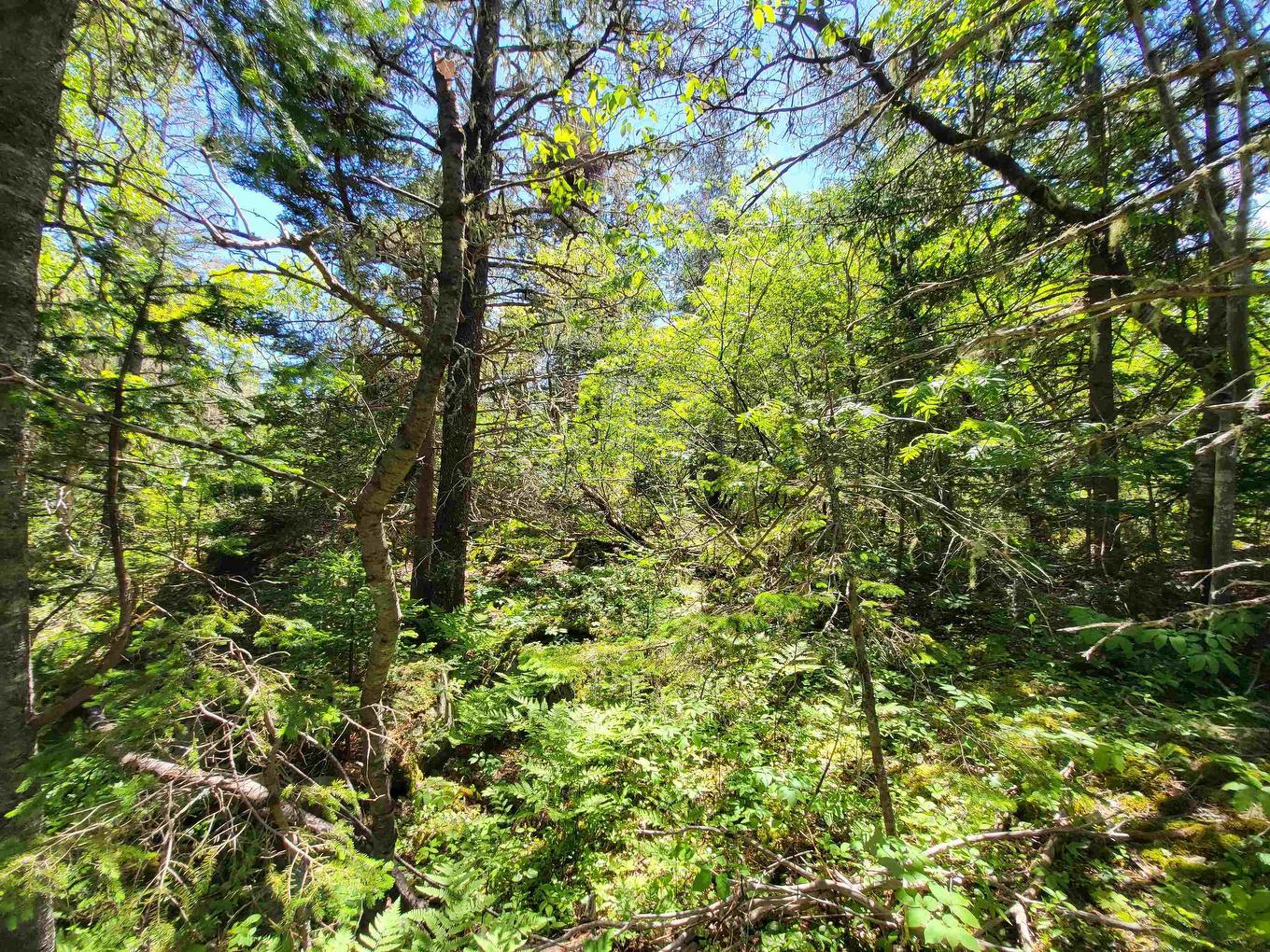 C4 & C5 Everetts Way, Hunts Point, NS