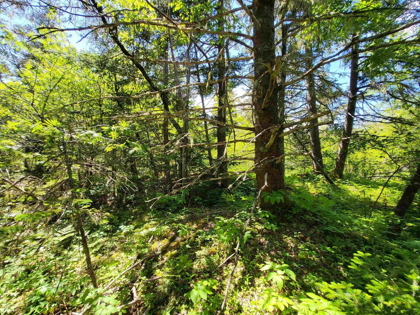 C4 & C5 Everetts Way, Hunts Point, NS