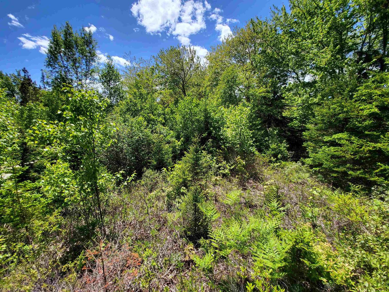 C4 & C5 Everetts Way, Hunts Point, NS