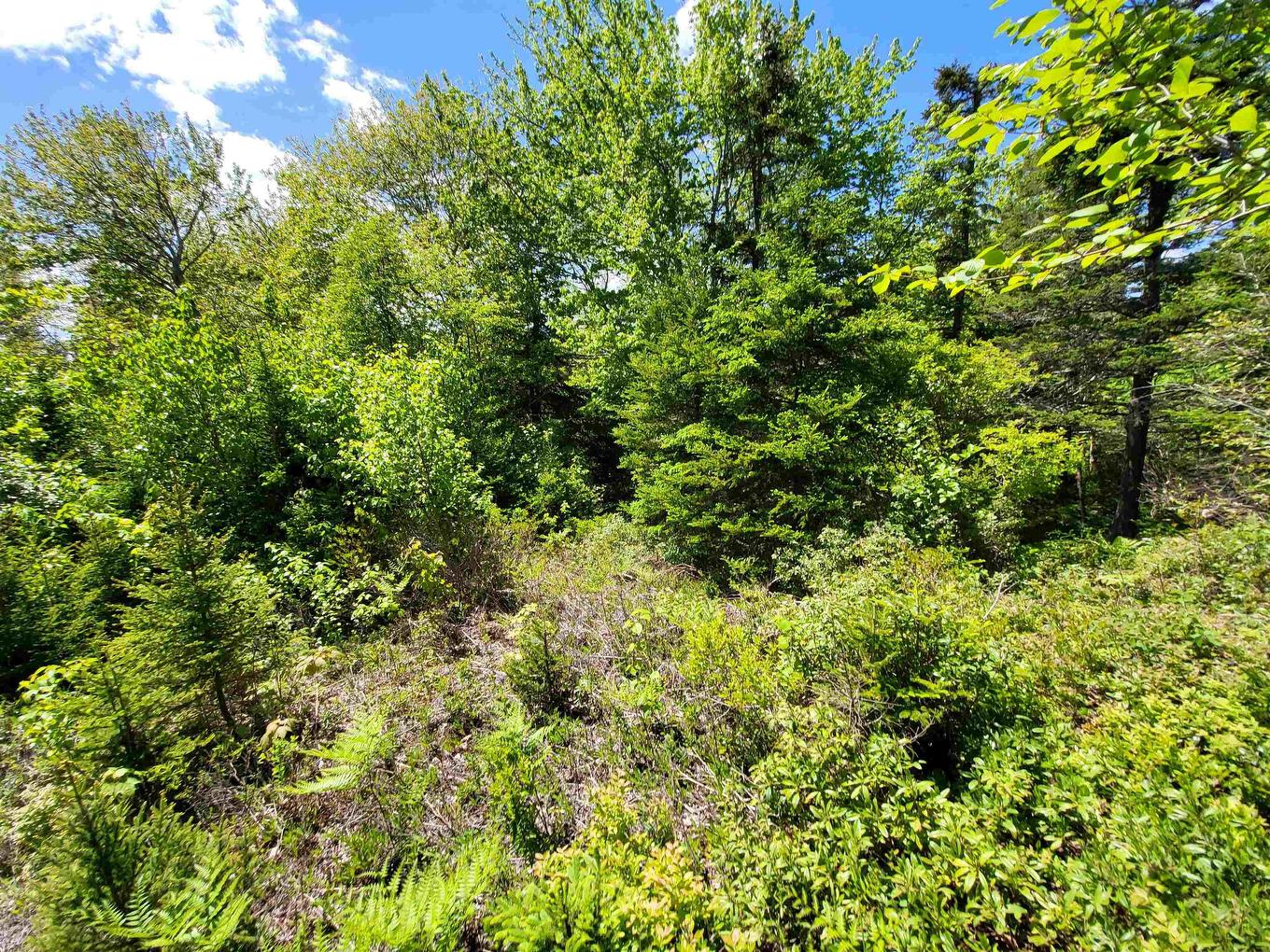 C4 & C5 Everetts Way, Hunts Point, NS