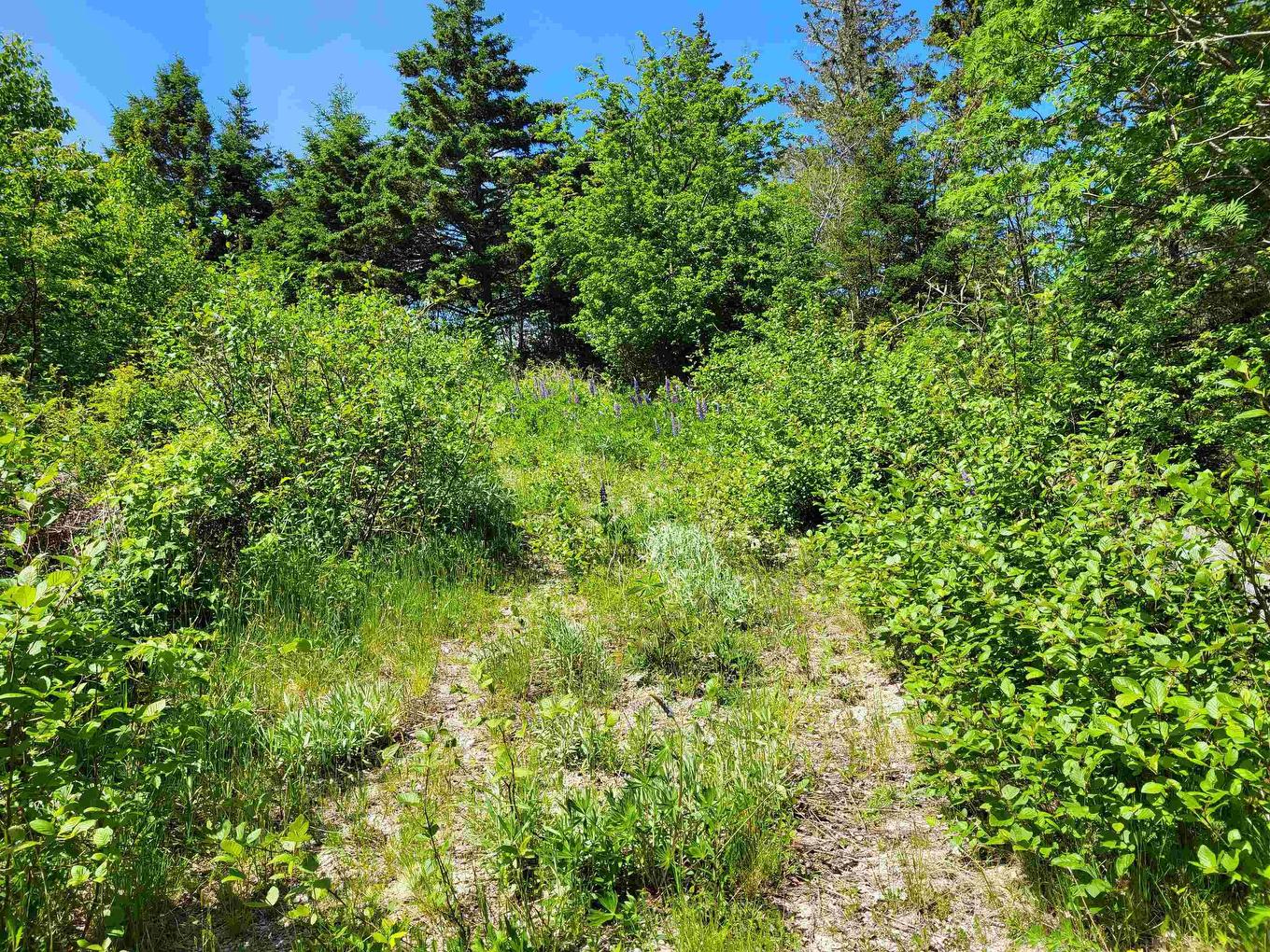 C4 & C5 Everetts Way, Hunts Point, NS