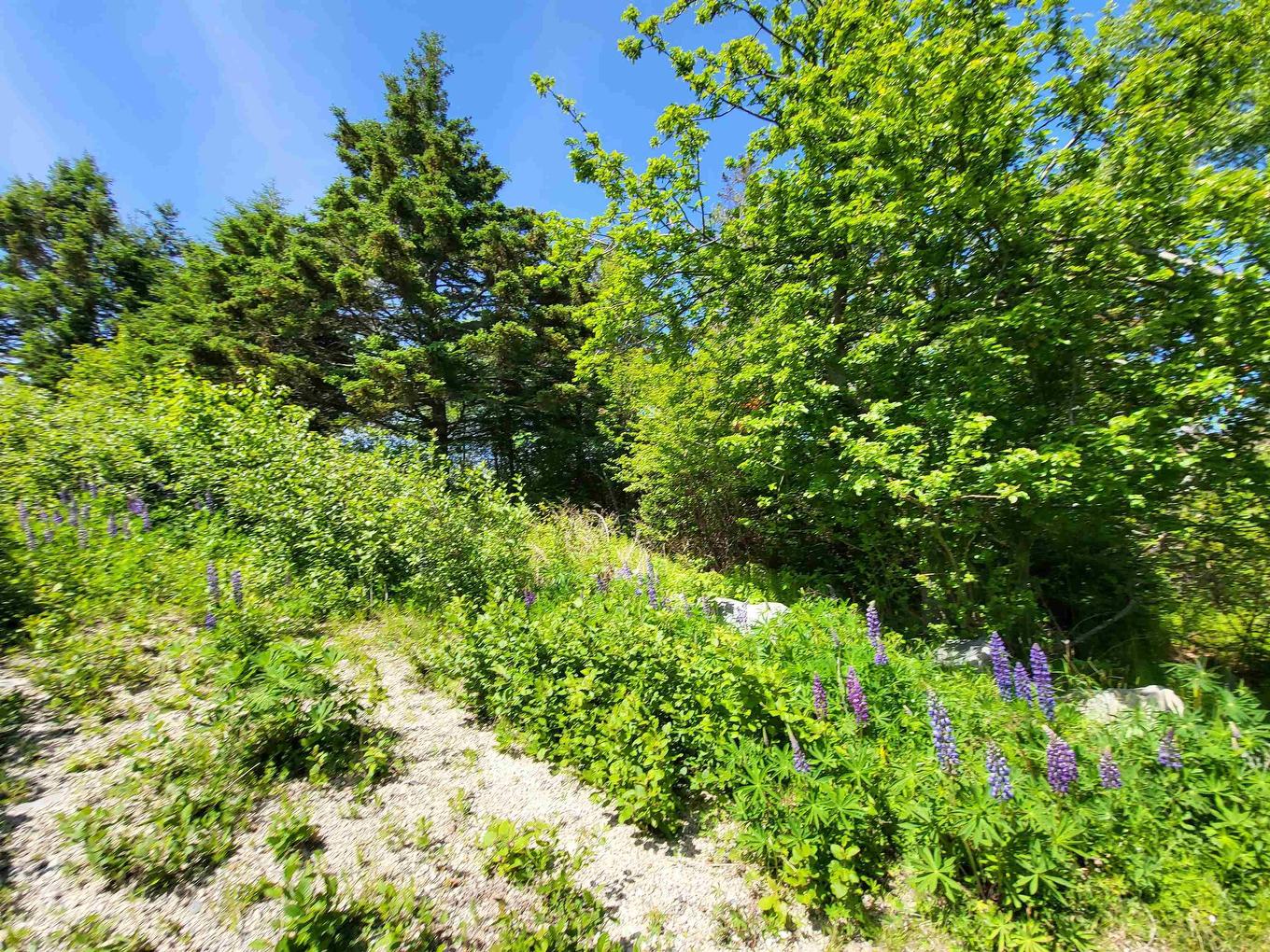 C4 & C5 Everetts Way, Hunts Point, NS