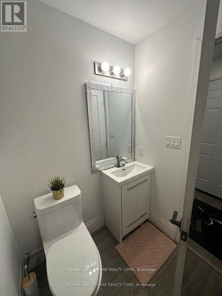 66 Wellington Street S, Hamilton, ON - Indoor Photo Showing Bathroom