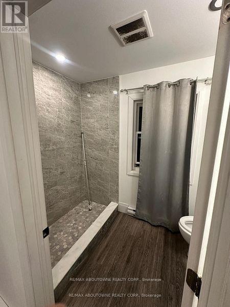 66 Wellington Street S, Hamilton, ON - Indoor Photo Showing Bathroom