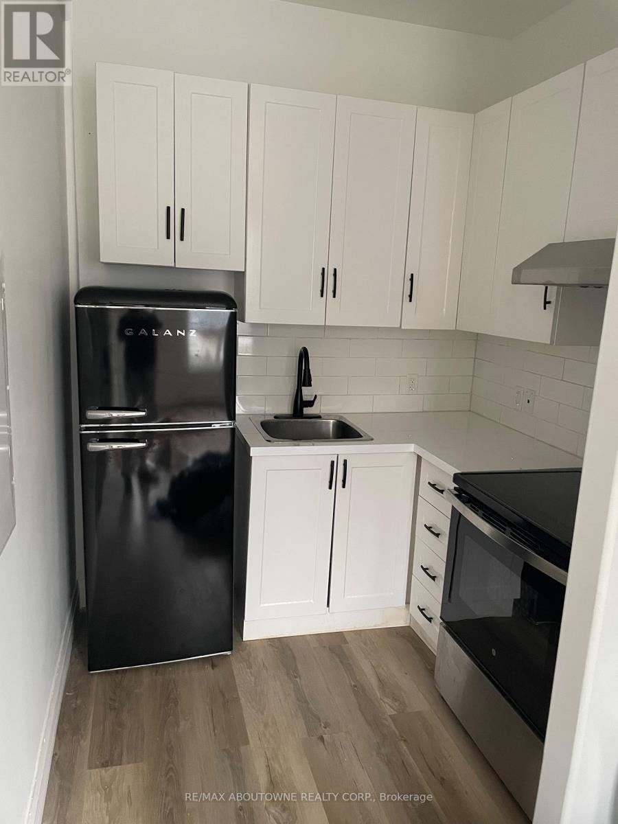 66 Wellington Street S, Hamilton, ON - Indoor Photo Showing Kitchen