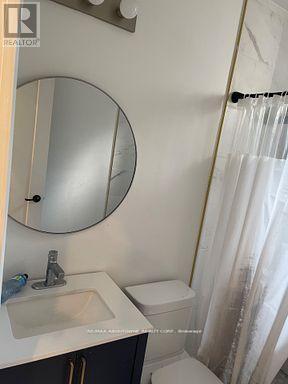 66 Wellington Street S, Hamilton, ON - Indoor Photo Showing Bathroom