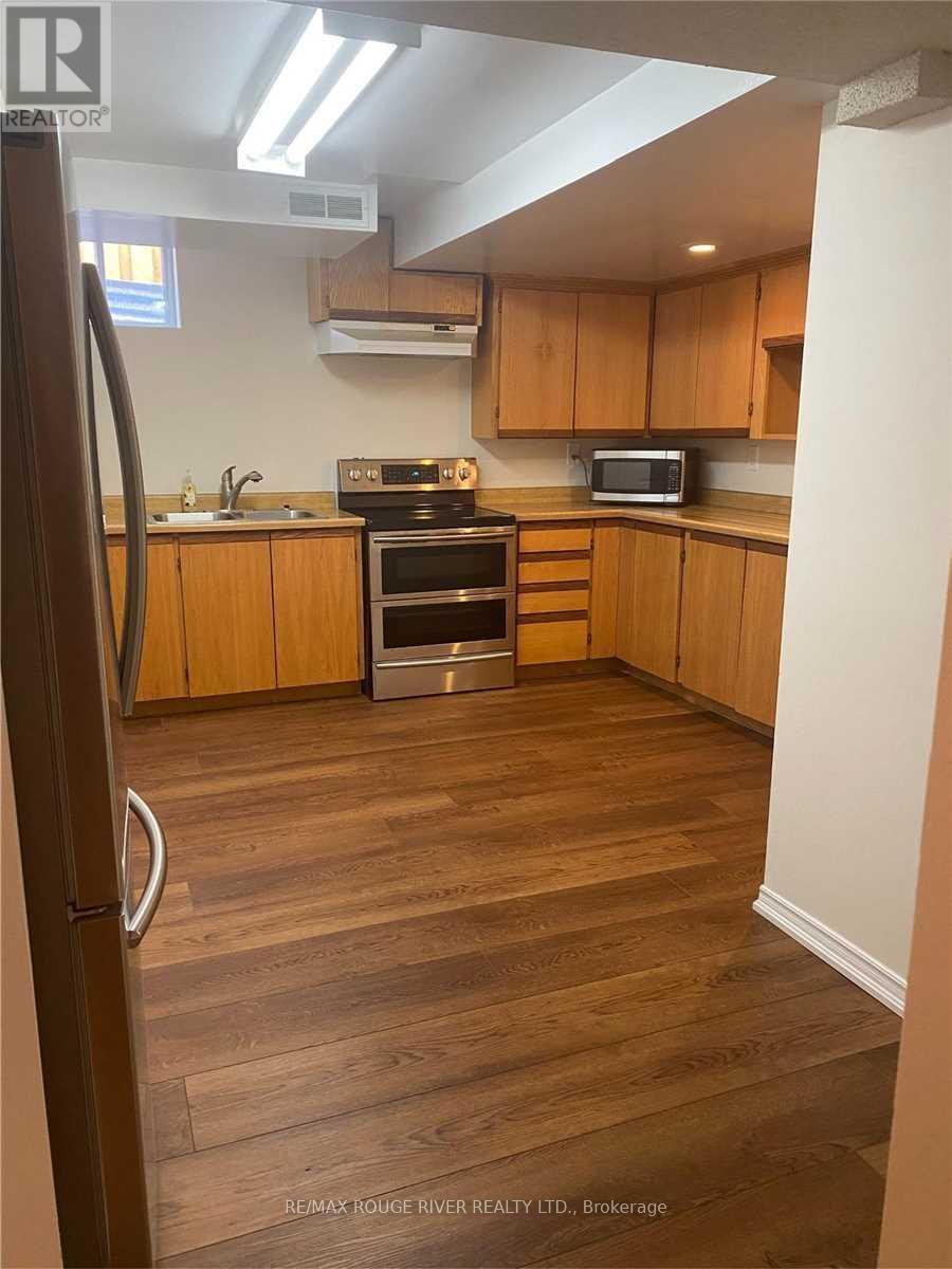 Bsmnt - 35 Meekings Drive, Ajax, ON - Indoor