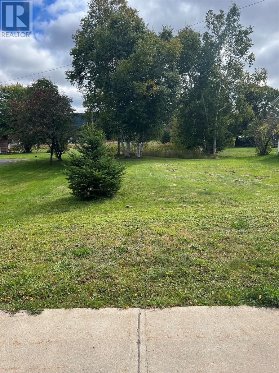 106 A Midland Row, Pasadena, NL