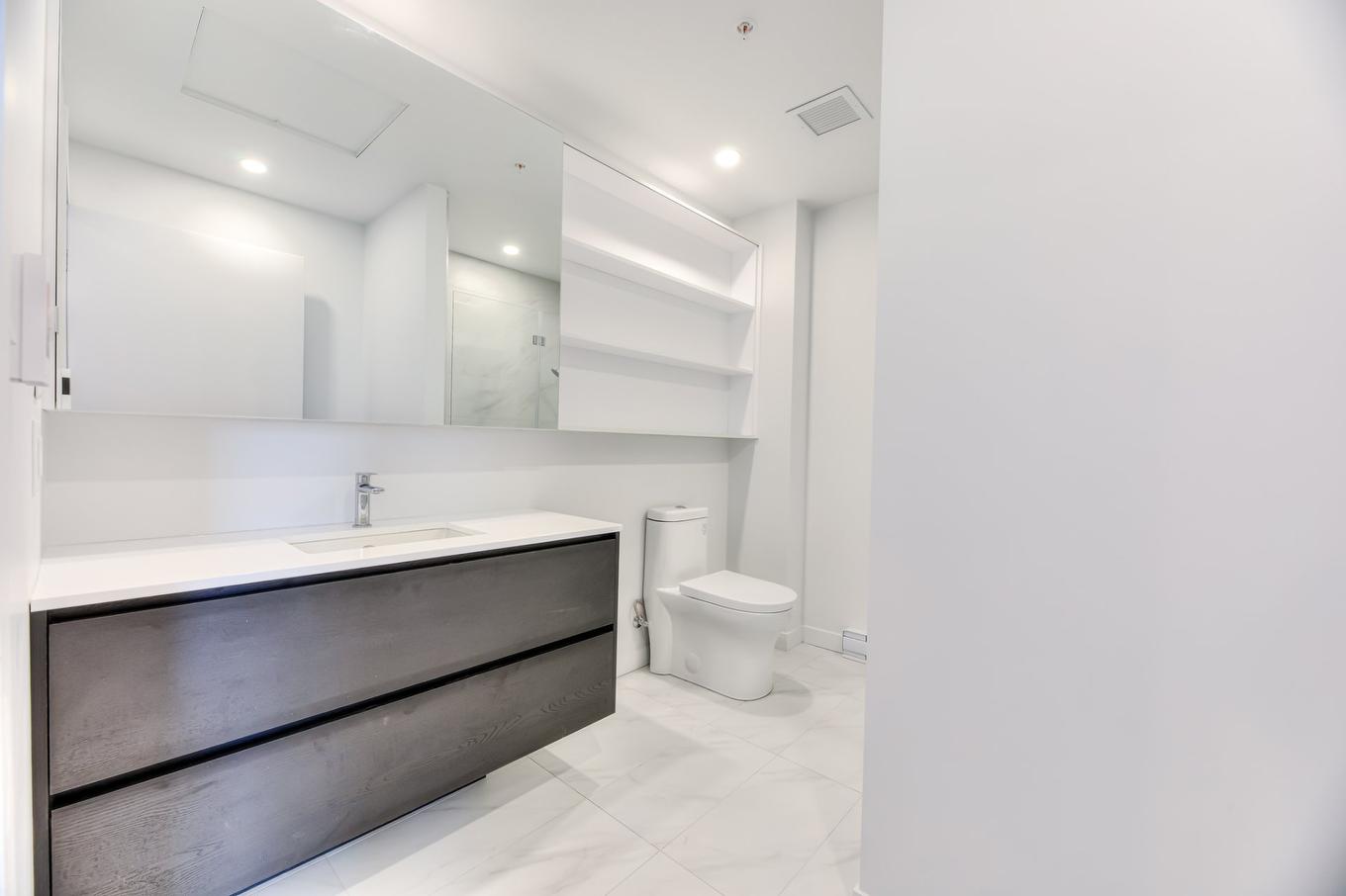 Salle de bains - 304-3045 Boul. De L'Assomption, Montréal (Mercier/Hochelaga-Maisonneuve), QC - Indoor Photo Showing Bathroom